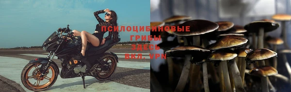 крисы Покачи