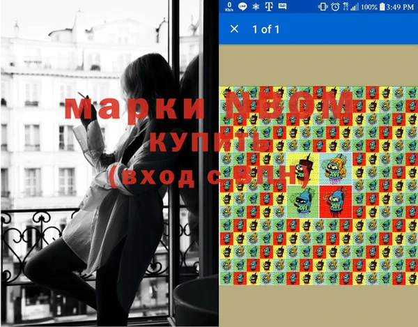крисы Покачи