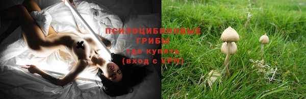 эйфоретик Покровск