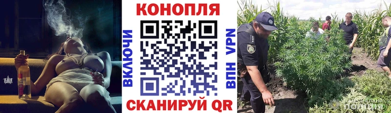 ОМГ ОМГ онион  Белёв  МАРИХУАНА сатива 